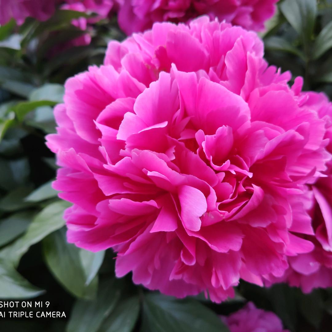 有你，很幸福！