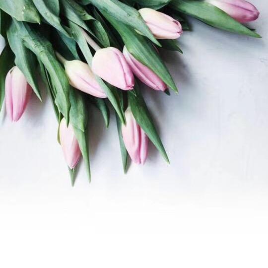 泰兴美好便利了君城店