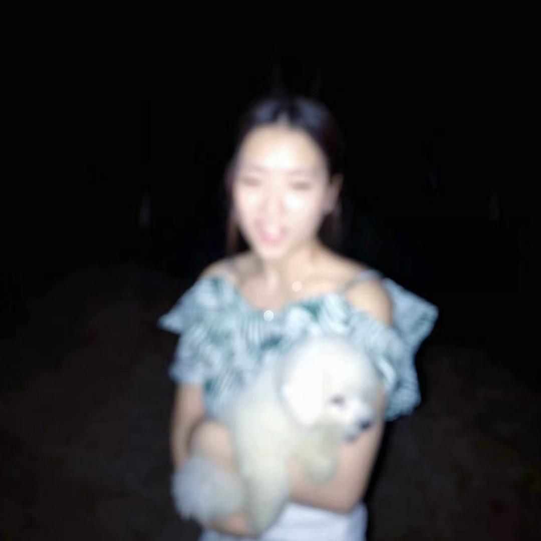 小迷璐迷了路