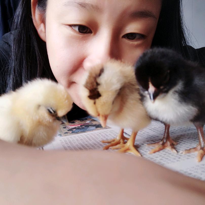 杨小二东北老品种蔬菜