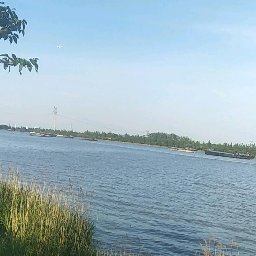 飘叶》》《殷》