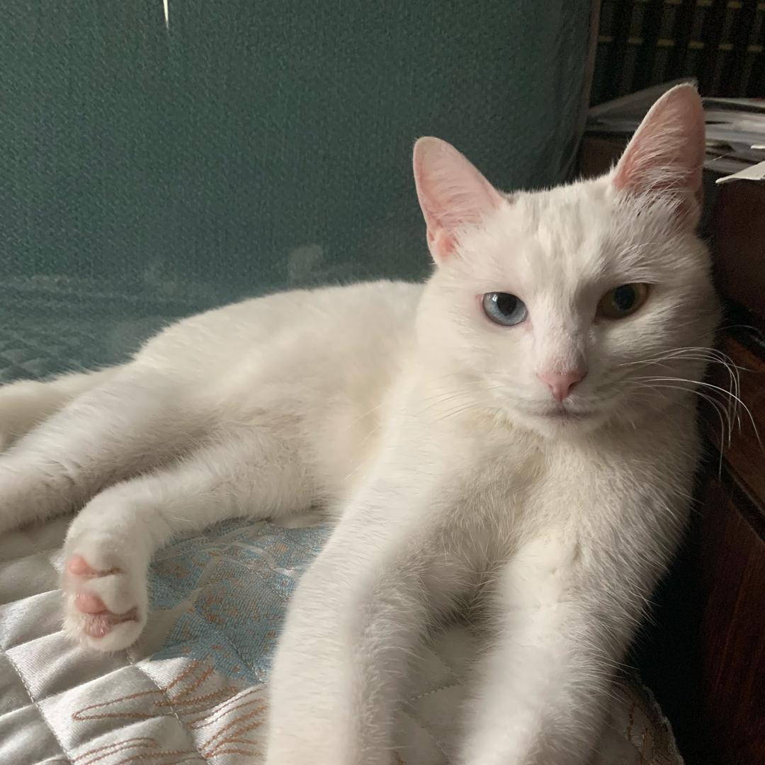 嘀嘀咕咕背个背