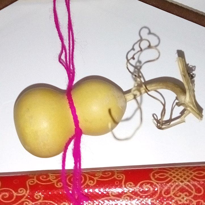健康与你相伴小号