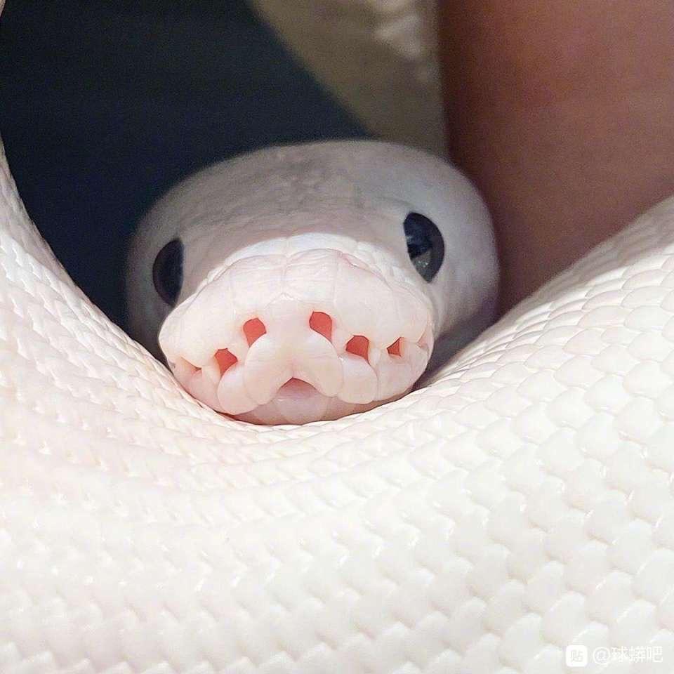 无锡第一老实人