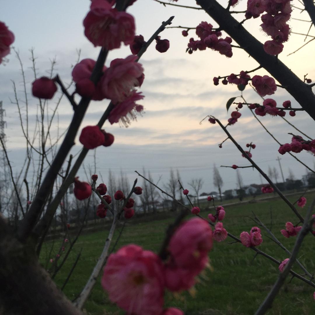小周鱼摊