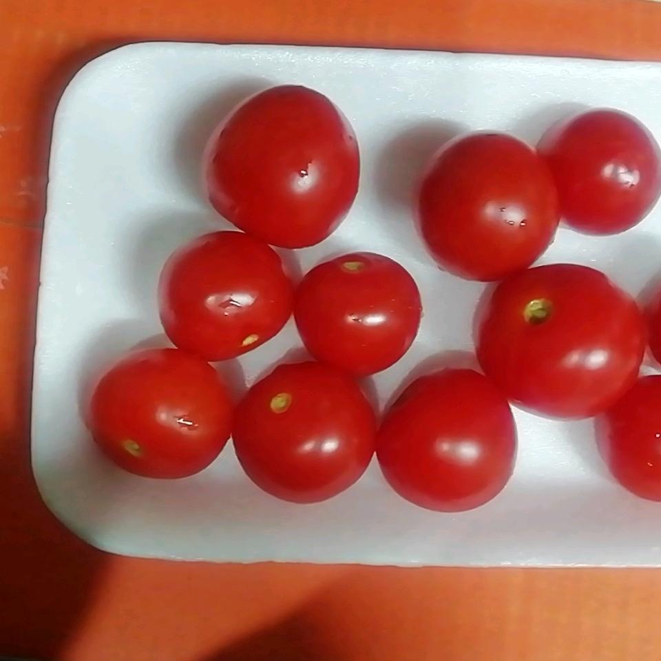 雉水人（南通）