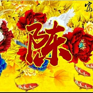 陈家室内装修
