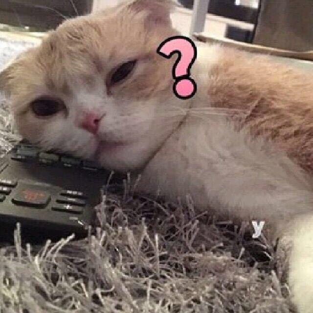 这一秒只想在爱里沉溺