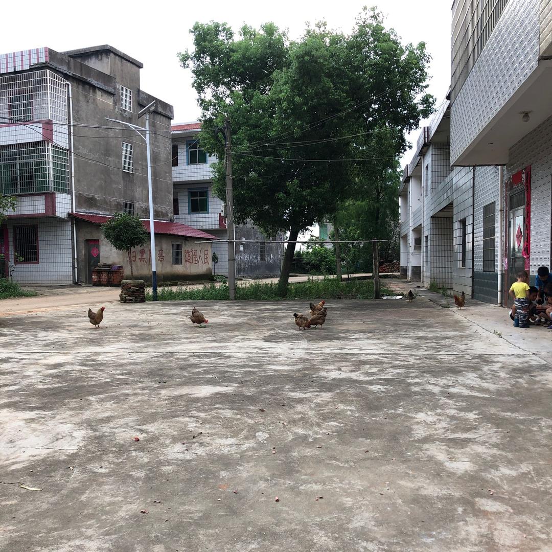 龚玉军