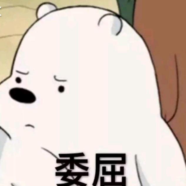 一只小熊🐻