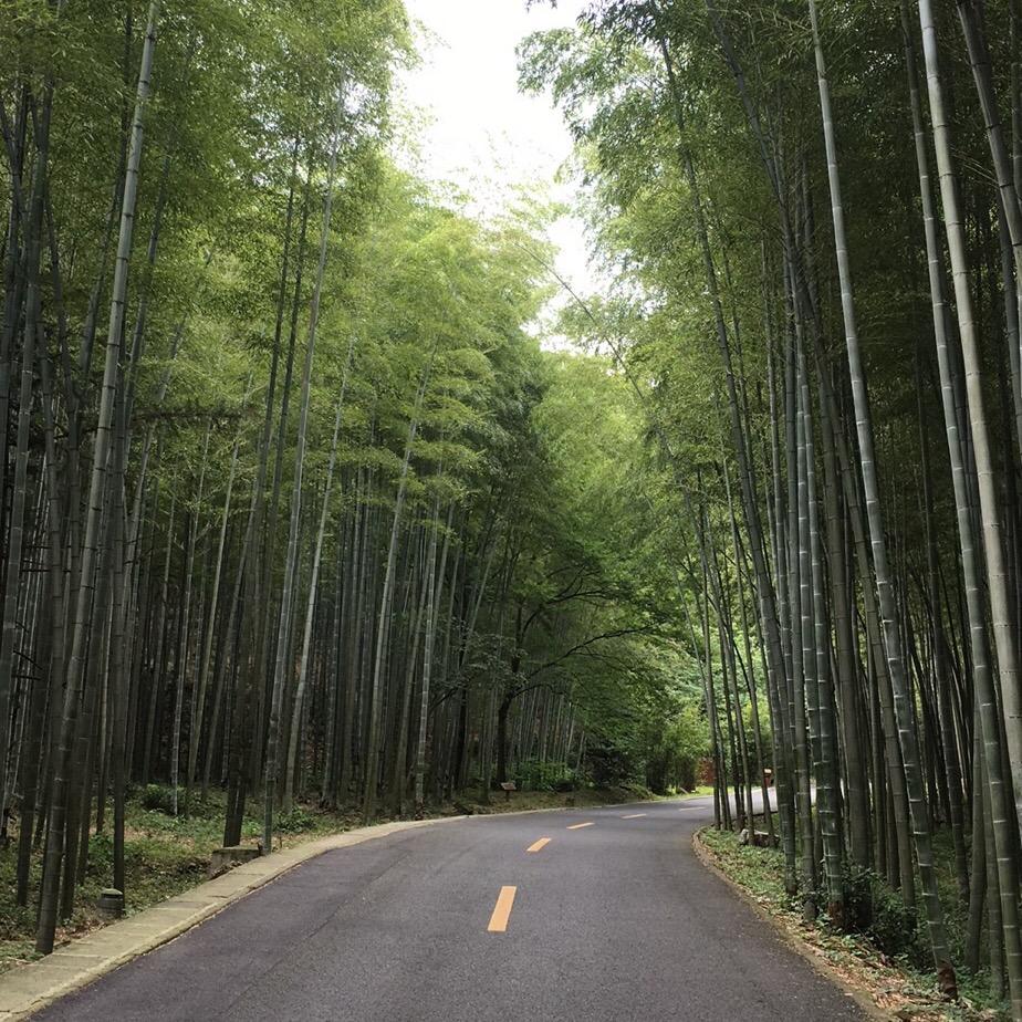醉酒当歌