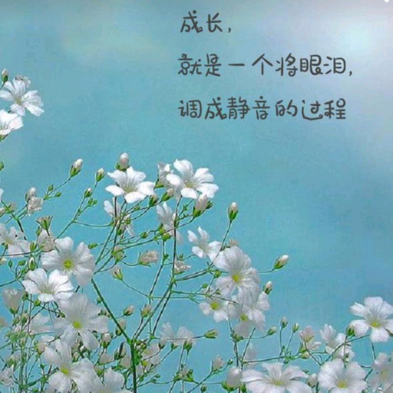 换个角度看世界℃