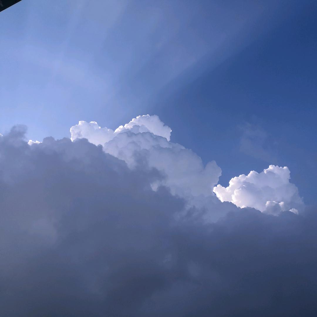 心动2009