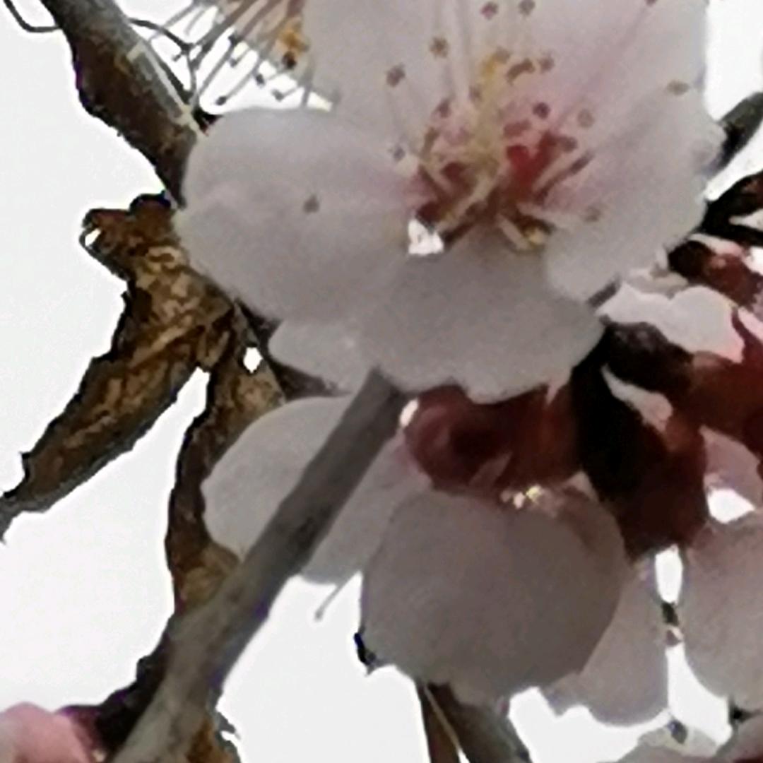 启航爱钓鱼🎣🐡🐠🐟