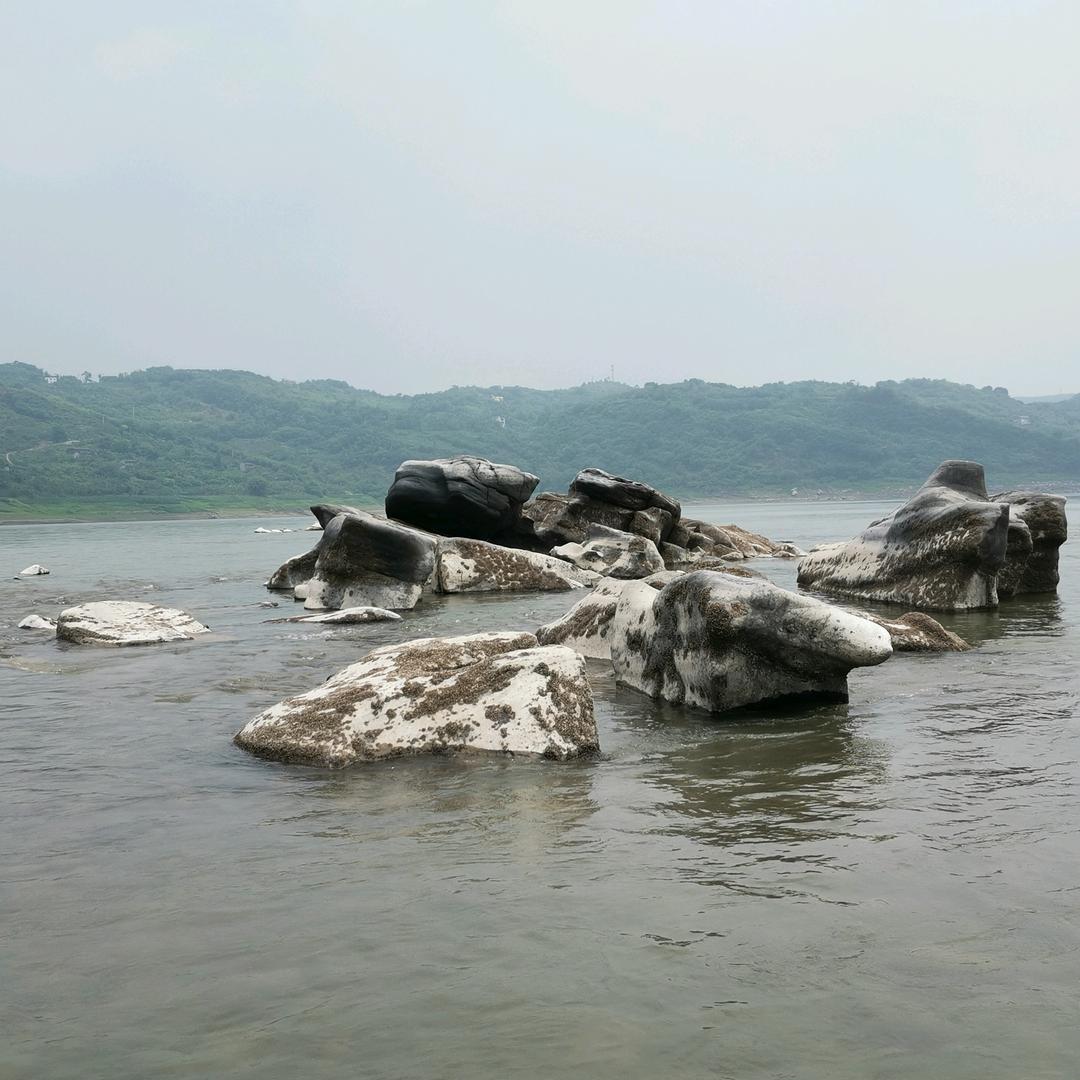 小小-石头