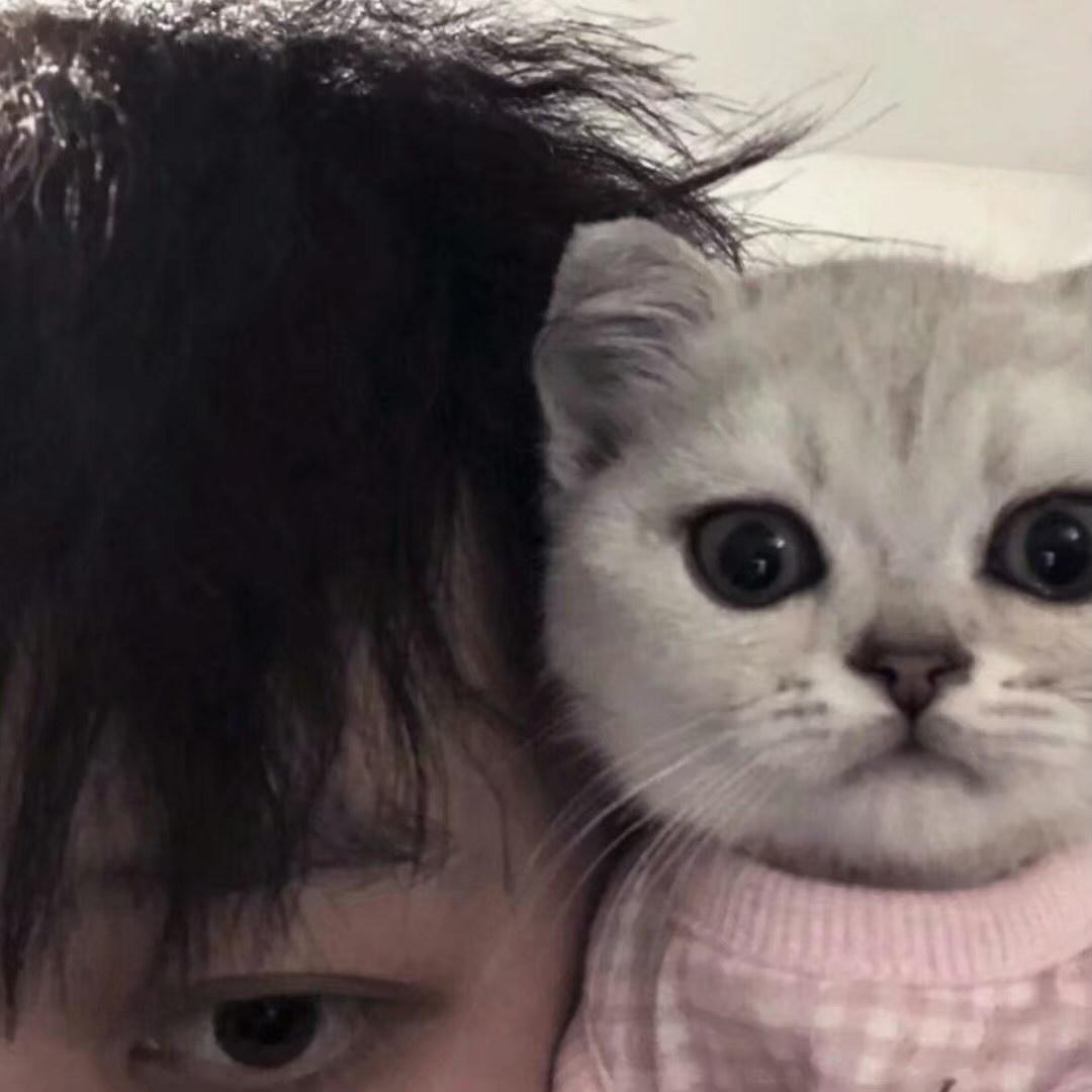 憋憋