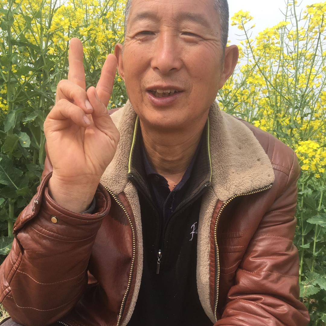 糖糖