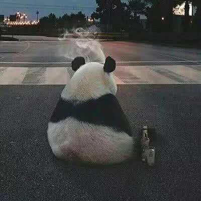 zzZ-