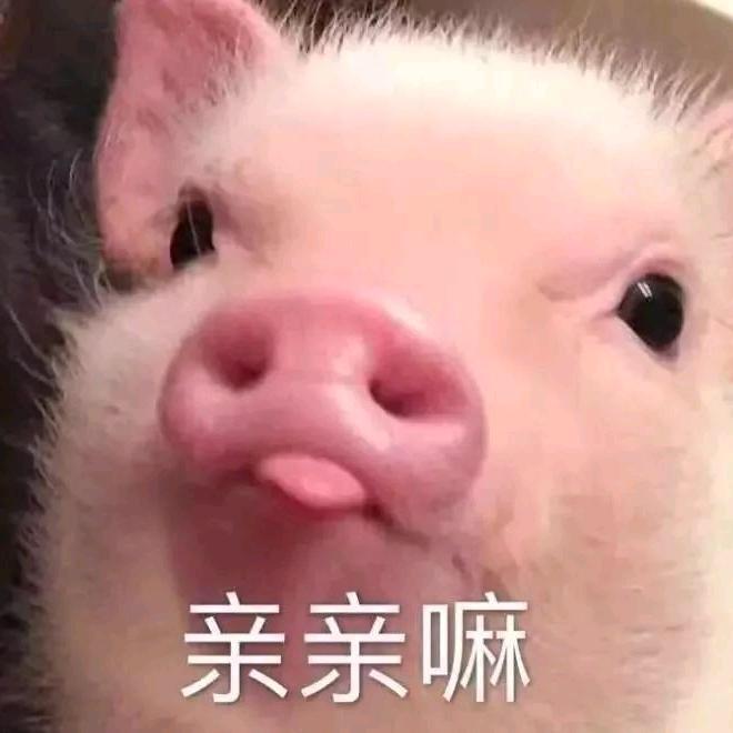 金金是→宝啊～