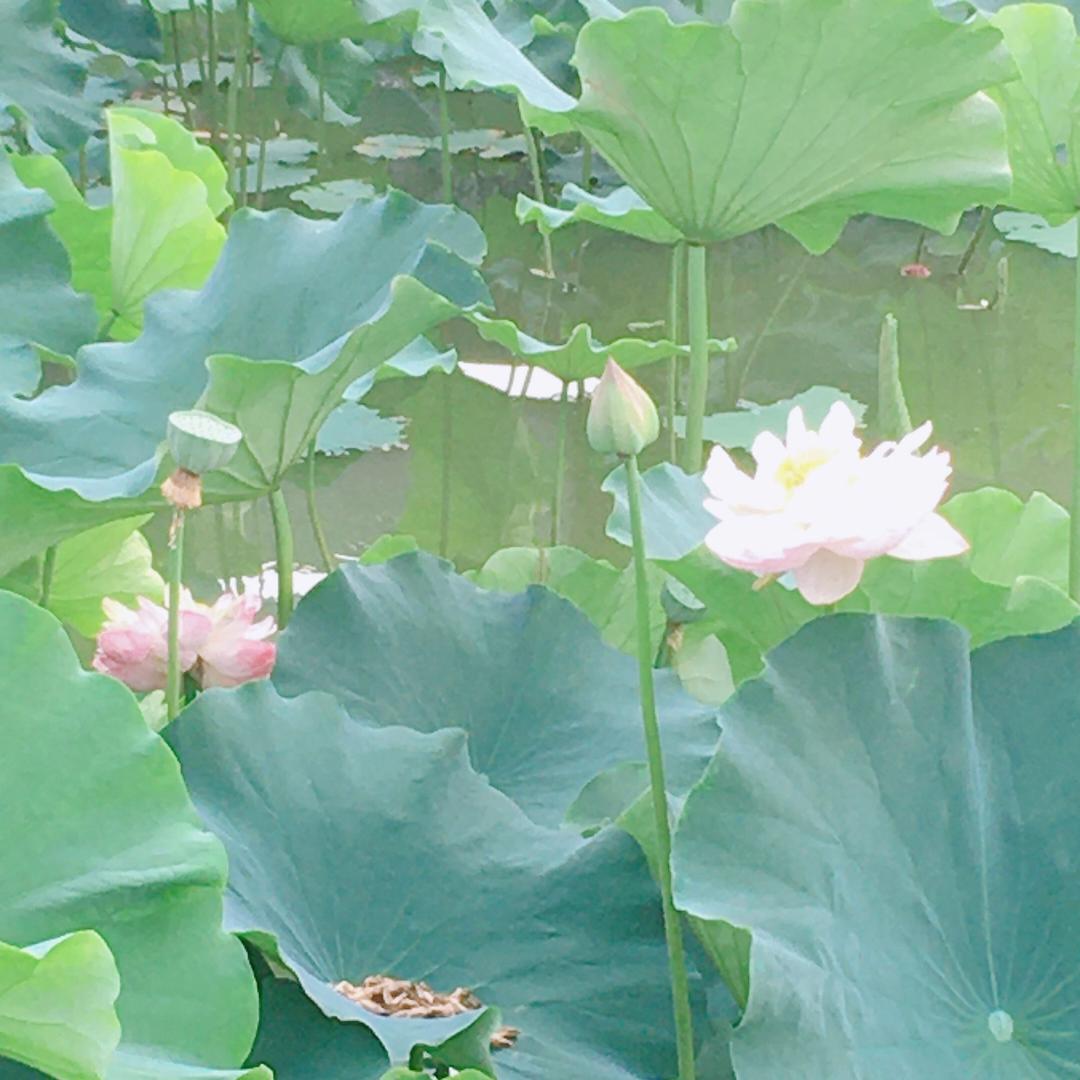 流年往事皆有因&$@