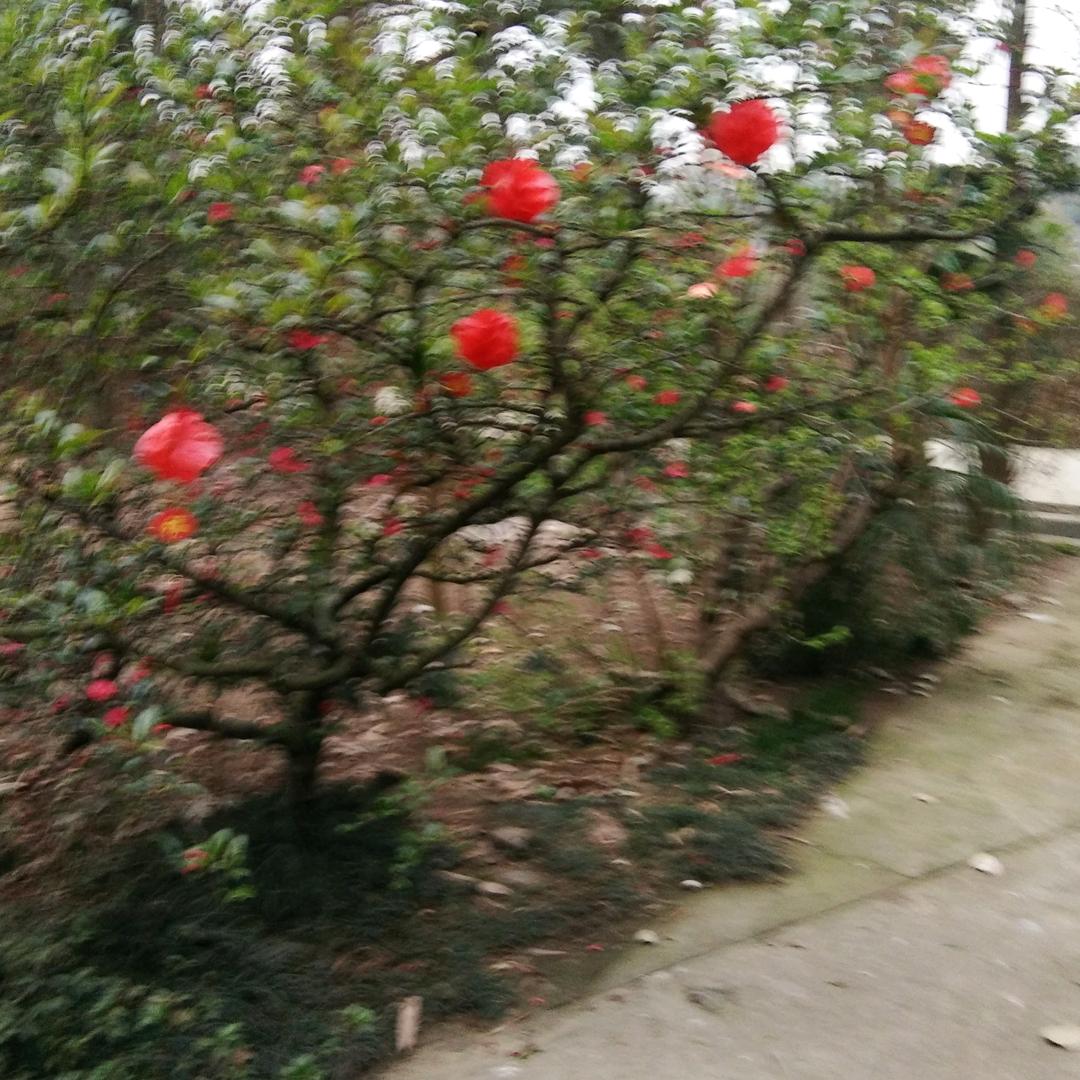 用户4592785364289