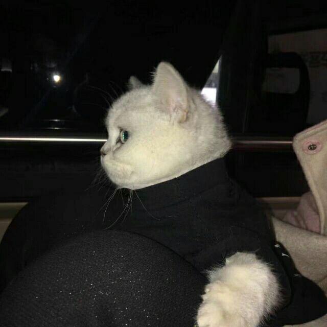 O.G