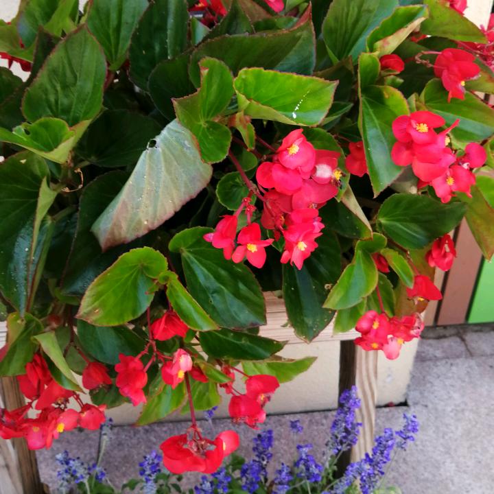 一生幸福！快乐健康！