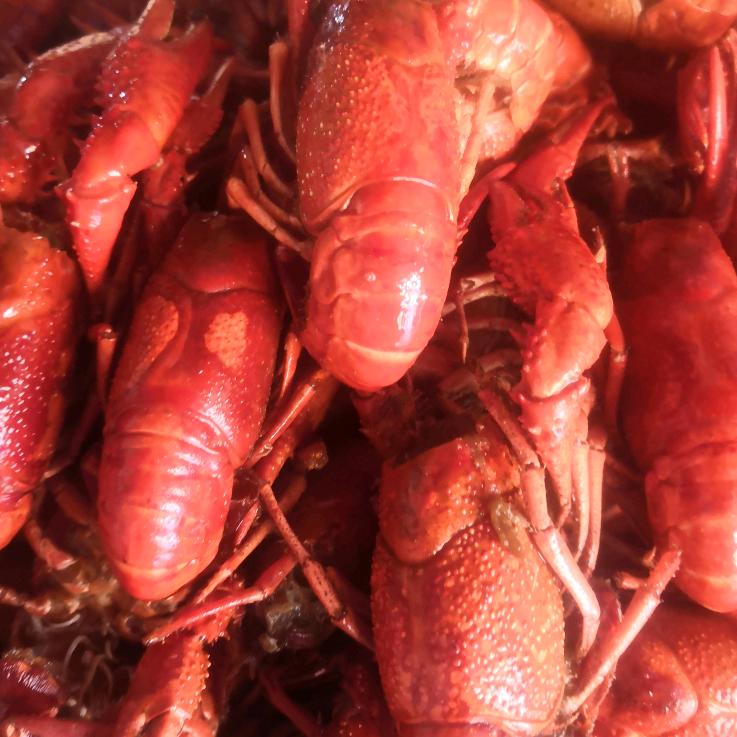 皖南龙虾🦞🦞   范家大厨房