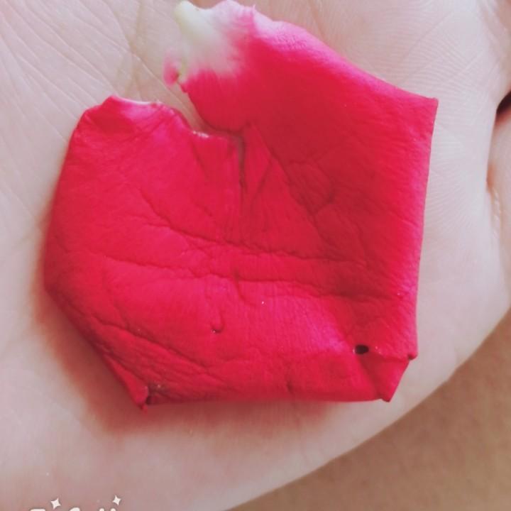 美好的心灵
