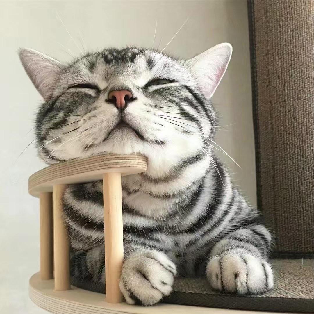 告诉桃花
