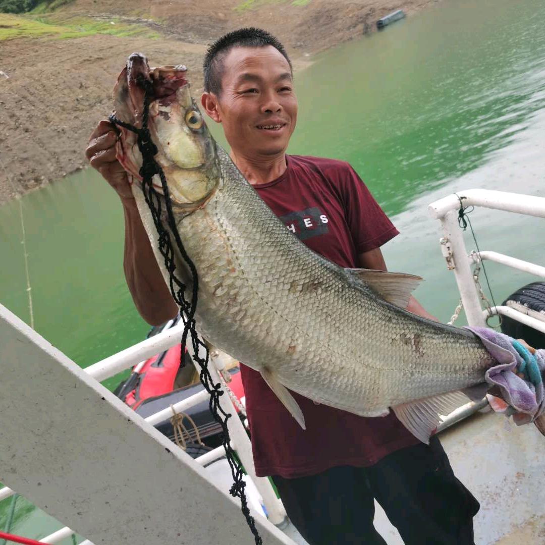 何老云