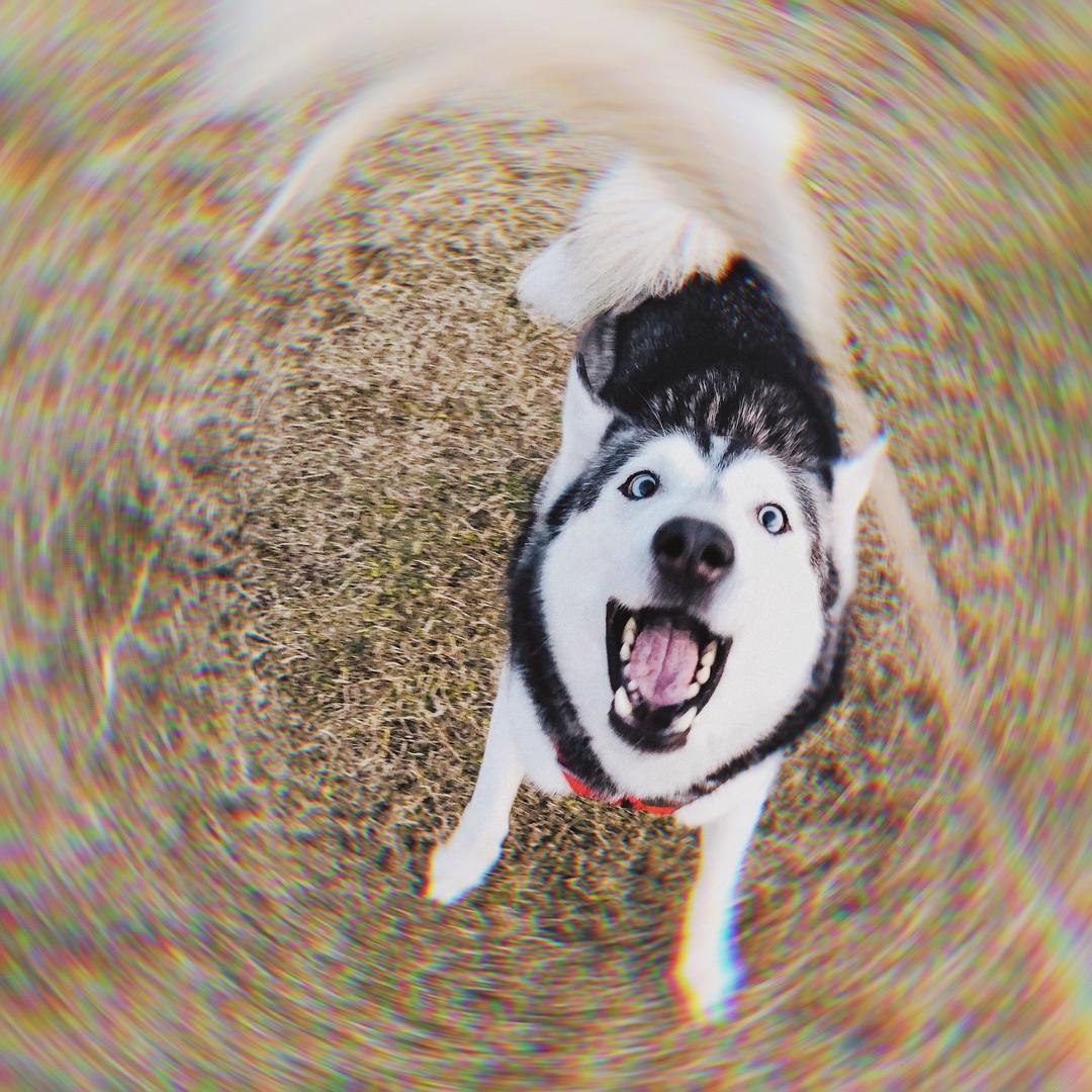 骑骑汤圆经纪人
