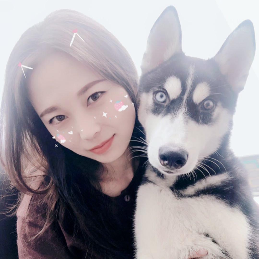 萌萌训犬
