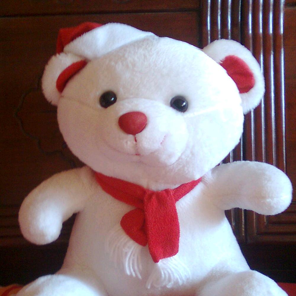 落在生命中的光