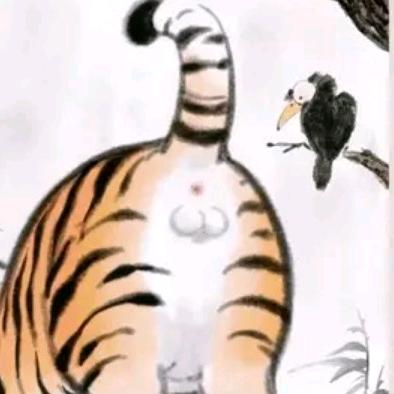 寰宇大视野