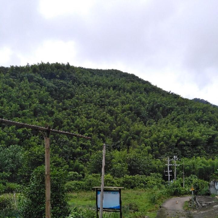 邓熹
