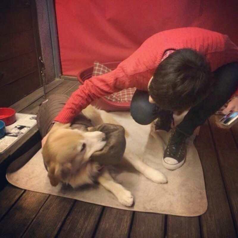 Billy（努力奋斗）