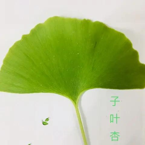 豪☞杰