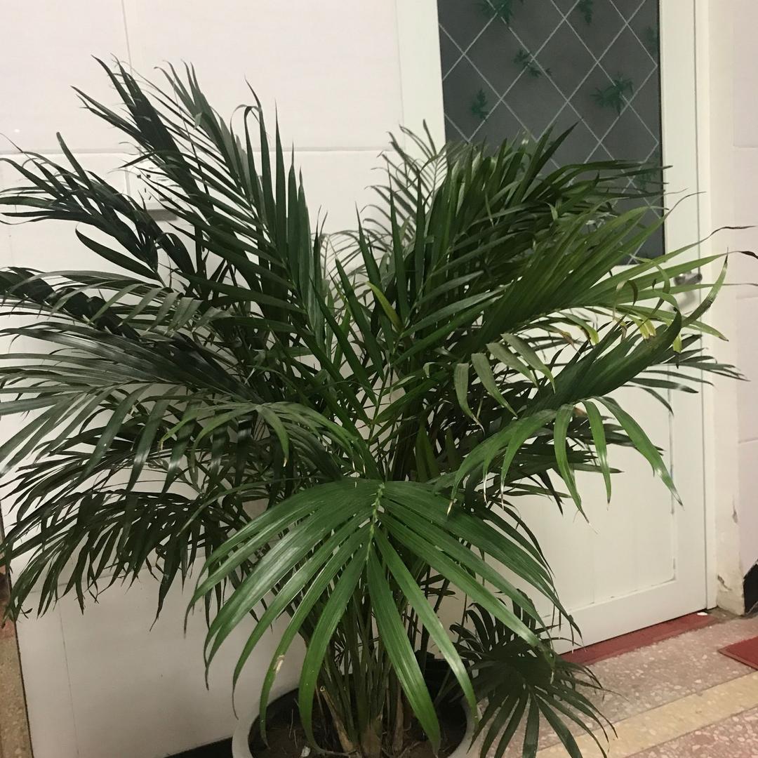 幸福皆知