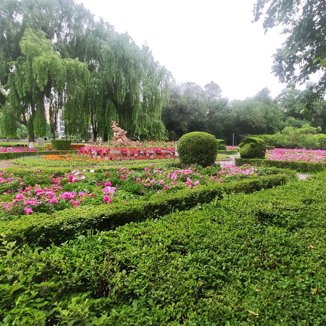 手机用户76898612452