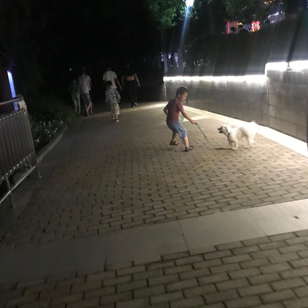 封心！