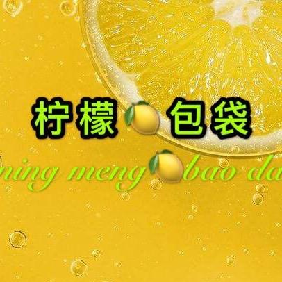 柠檬包袋
