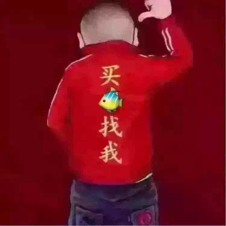 九州水产（王龙）