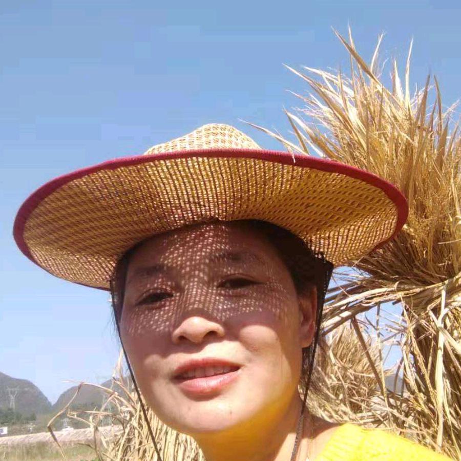 用户401493309835