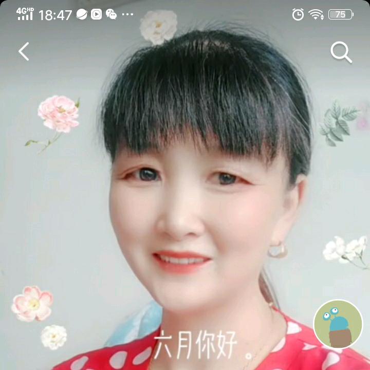 萍姐