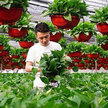 广州绿佳缘花场