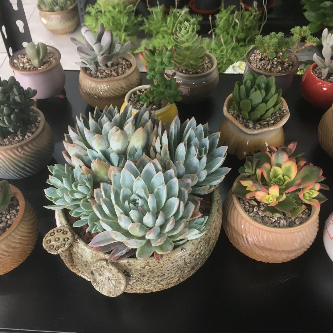 火火