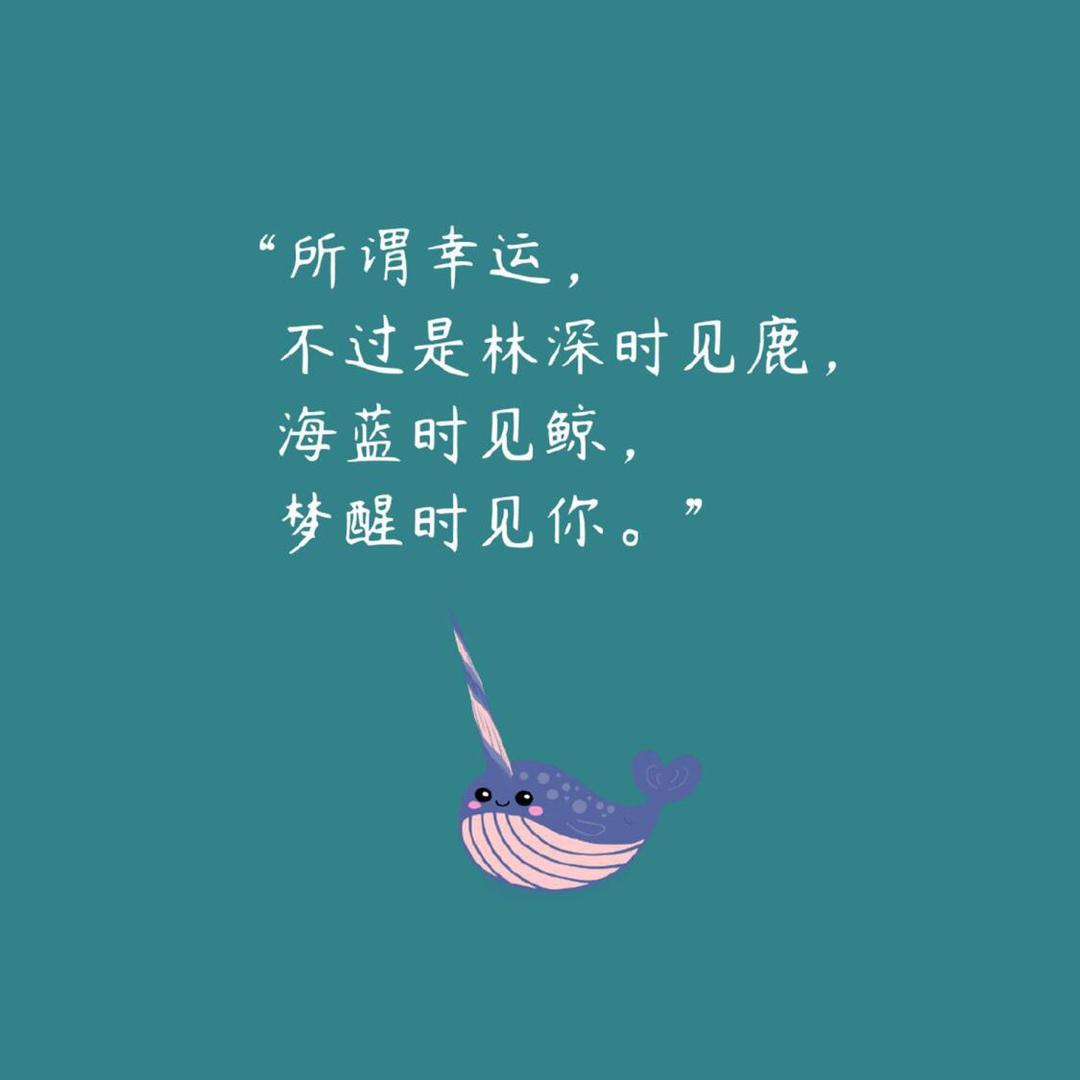 铭浩好货店
