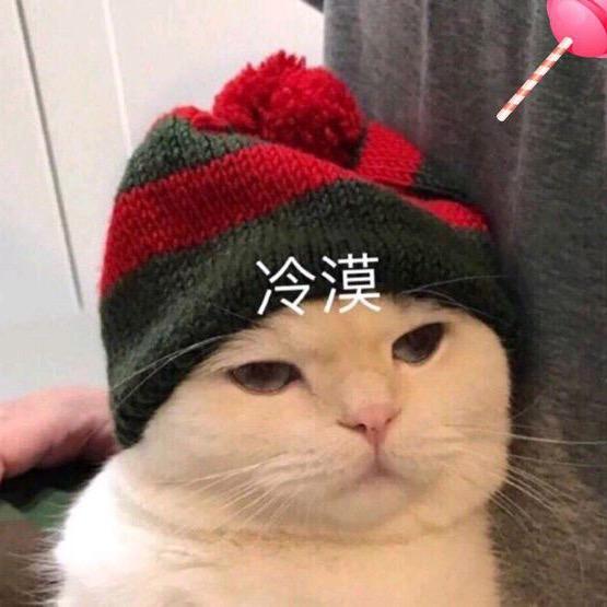 猪事猫猫囧rz