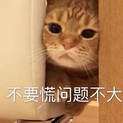 🌈莫寂风🌈